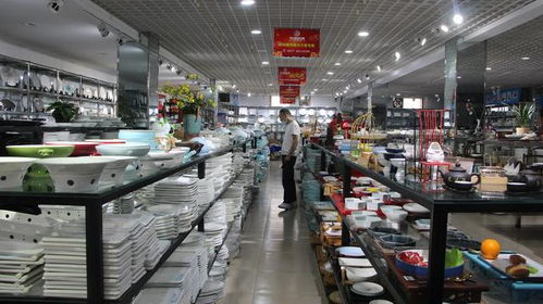 國(guó)醫(yī)大師張伯禮院士受聘擔(dān)任南陽(yáng)廚具衛(wèi)具行業(yè)健康首席顧問(wèn)